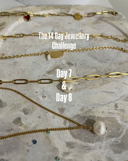 Day 7 & 8